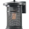 Carlson 1-Light LRG Wall Lantern Home